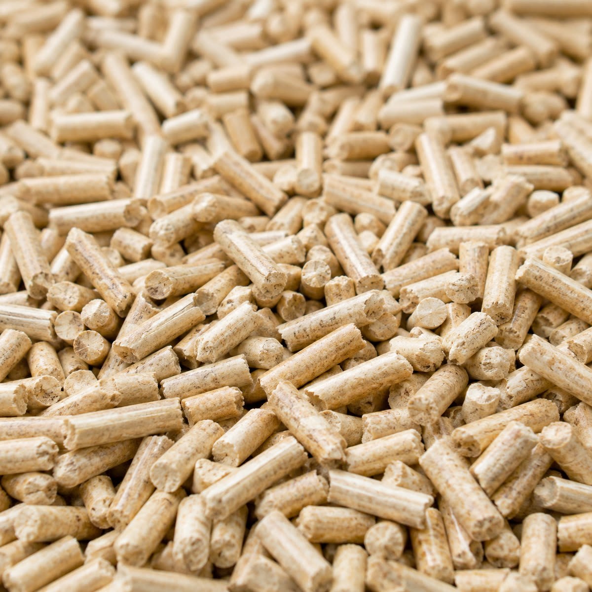 Pellets de madera de 6 mm, detalle macro