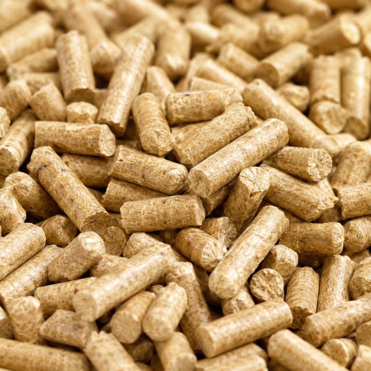Pellets de madera de 6 mm, detalle macro