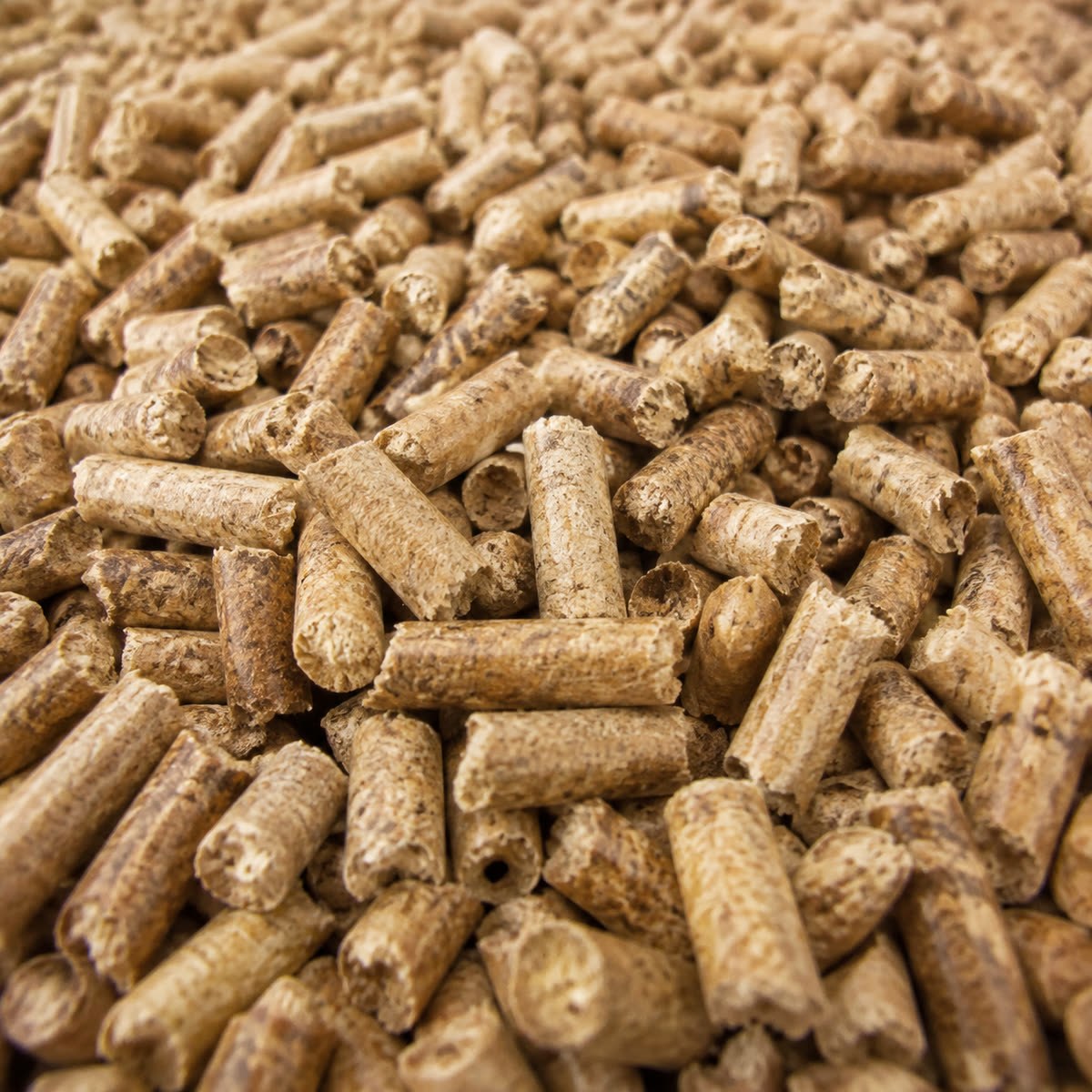 Pellets de madera de 6 mm, detalle macro