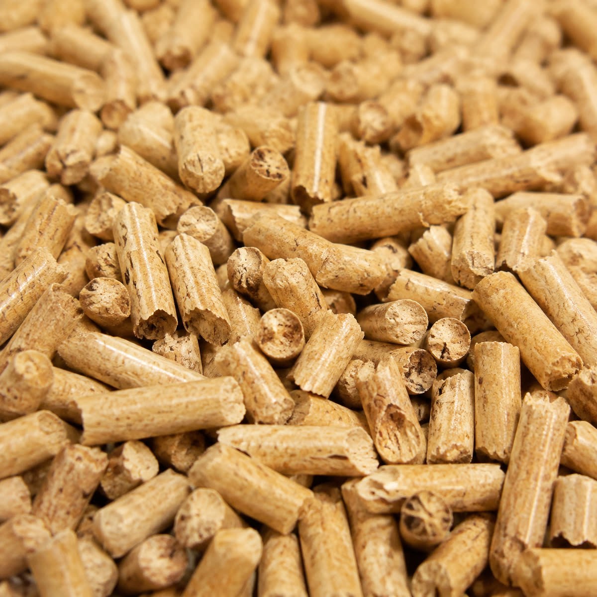 Pellets de pino de 6 mm, detalle macro